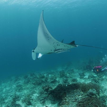 Coriana Dive Resort Waisai Bagian luar foto