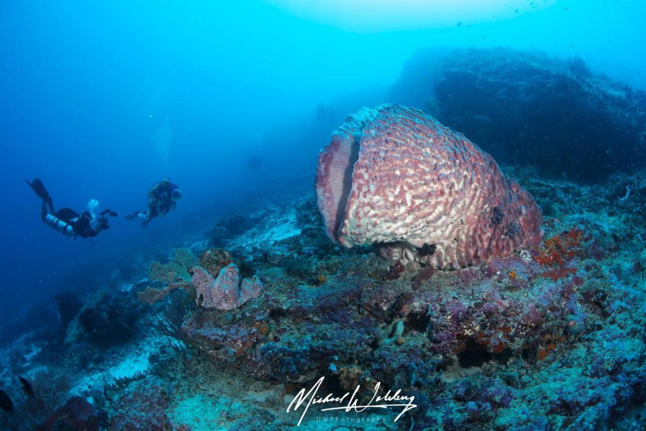 Coriana Dive Resort Waisai Bagian luar foto